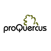 proQuercus